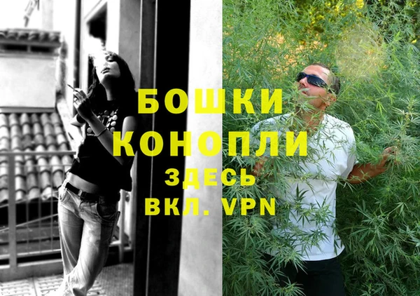 сатива Верея