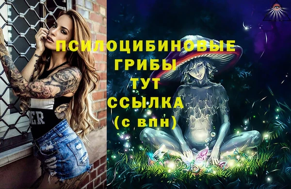 jwh Медвежьегорск