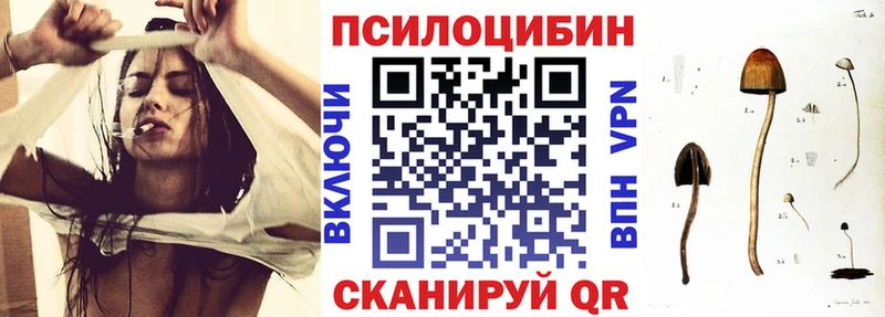 Галлюциногенные грибы GOLDEN TEACHER  цены наркотик  Гуково 
