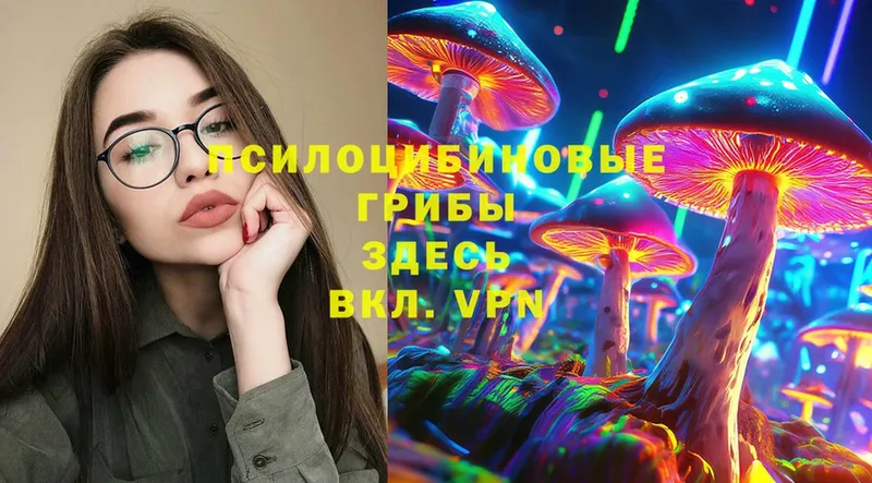 Псилоцибиновые грибы Magic Shrooms  Гуково 