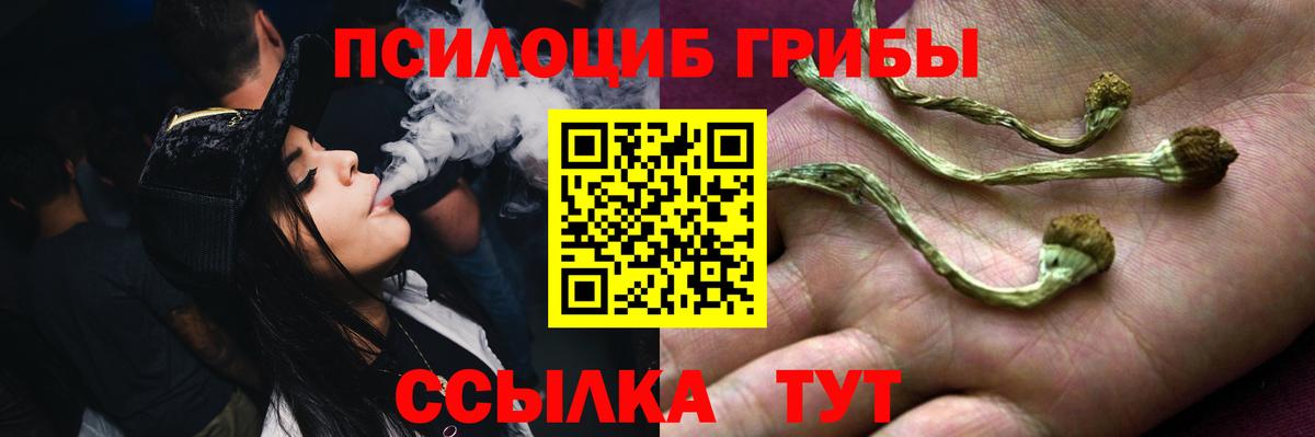 Галлюциногенные грибы Psilocybine cubensis  Вход с VPN  Гуково 